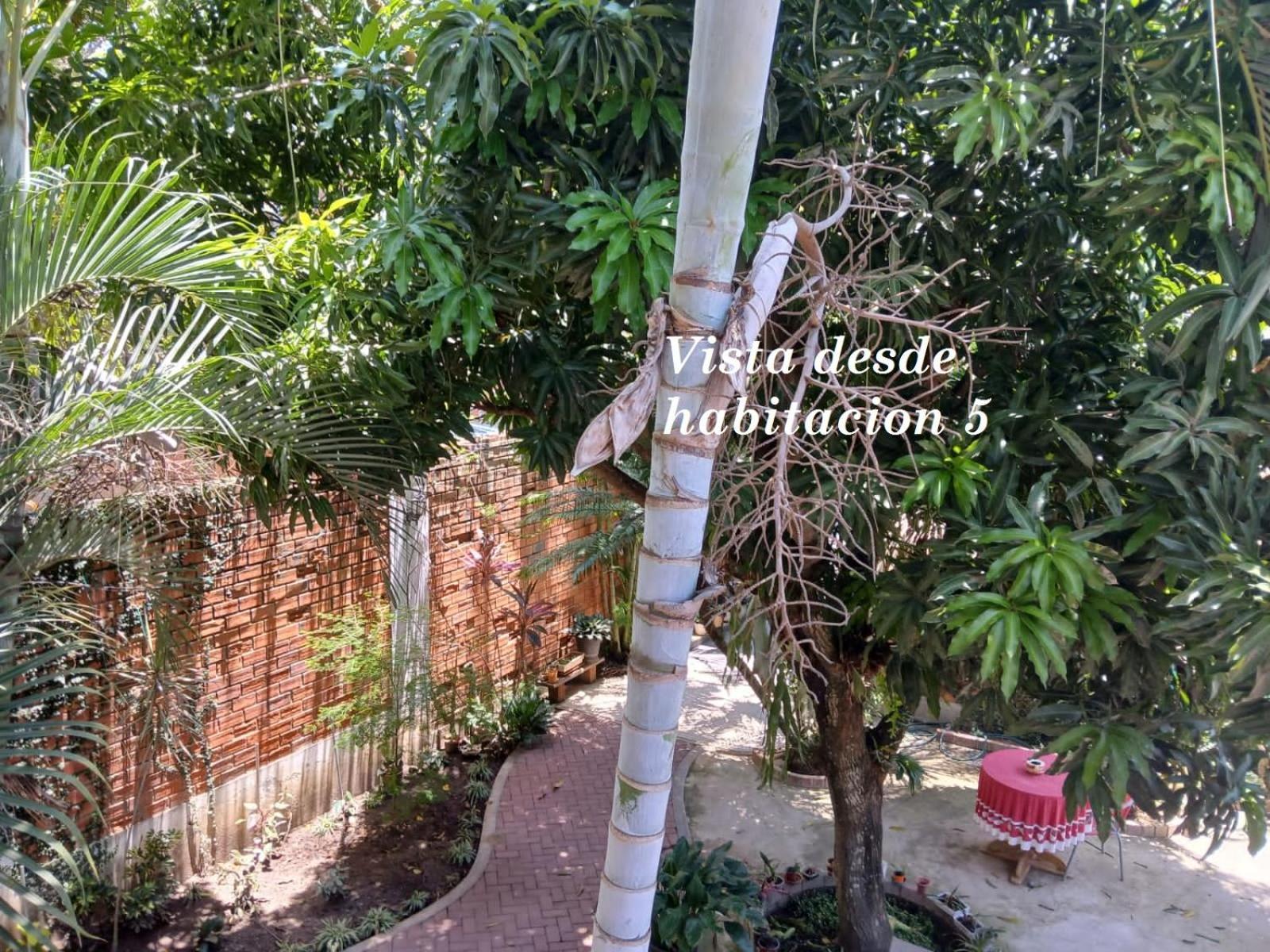 Alojamiento Familiar Custodia Tarapoto Buitenkant foto